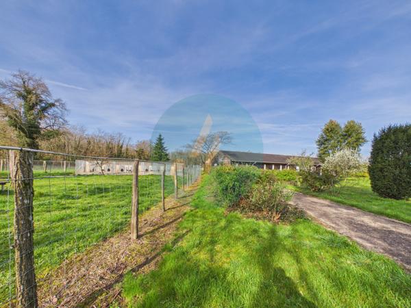 Pouilly-sur-Loire (58150) Longère en bois 300m2, 5 chambres, chenils, boxes à chevaux sur 2 hectares clos entre champs et forêt
