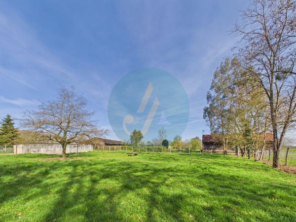 Pouilly-sur-Loire (58150) Longère en bois 300m2, 5 chambres, chenils, boxes à chevaux sur 2 hectares clos entre champs et forêt
