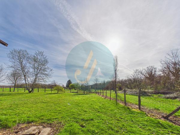Pouilly-sur-Loire (58150) Longère en bois 300m2, 5 chambres, chenils, boxes à chevaux sur 2 hectares clos entre champs et forêt
