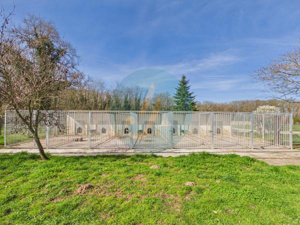 Pouilly-sur-Loire (58150) Longère en bois 300m2, 5 chambres, chenils, boxes à chevaux sur 2 hectares clos entre champs et forêt