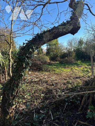 Maison de ville PICAUVILLE - Bourg de Pont l'Abbé