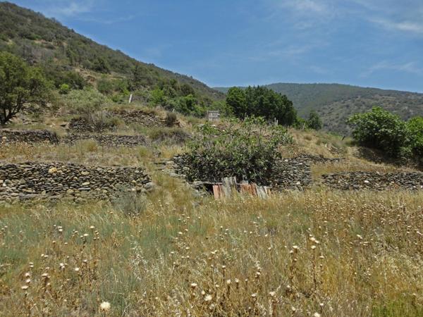 Dpt Pyrénées Orientales (66), à vendre OLETTE Maison P4 en pierres de 84 m² - terrain 809 m²