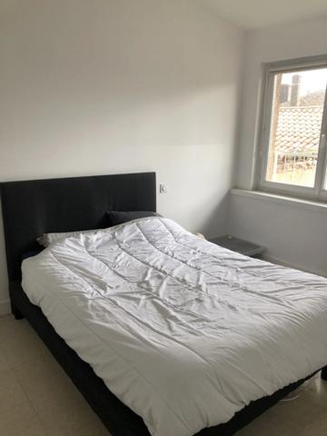 Dpt Landes (40), à vendre AIRE SUR L'ADOUR immeuble de rapport de 8 lots entièrement loués