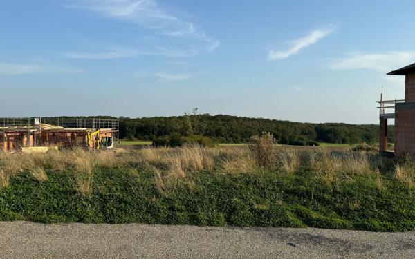 Terrain à vendre    Seingbouse