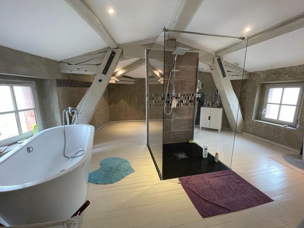 Location maison loft rénovée avec 4 chambres grand garage vue sur la Cité et terrasse à Carcassonne