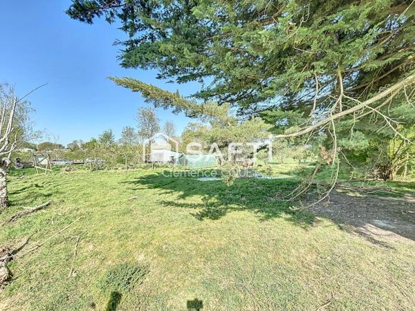 Terrain de loisirs arboré