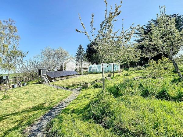 Terrain de loisirs arboré