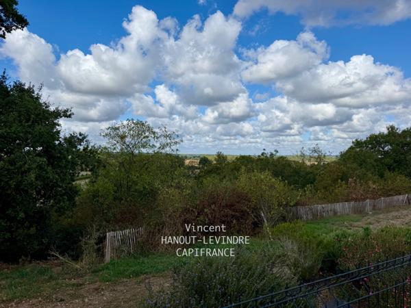 MURS ERIGNE MAISON CONTEMPORAINE DE 2019 AVEC VUE IMPRENABLE SUR LA VALLÉE(49)