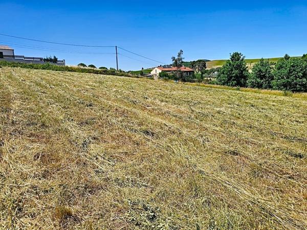 Terrain constructible de 5 201 m² avec vue dégagée , Projet de division en 4 lots