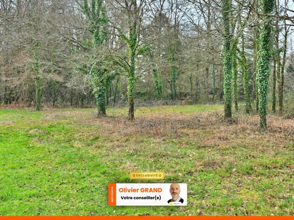 TERRAIN 1200M² - ENVIRONNEMENT CAMPAGNE ET BOISE