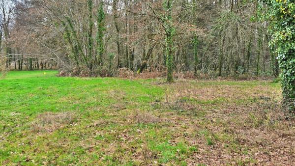 TERRAIN 1200M² - ENVIRONNEMENT CAMPAGNE ET BOISE