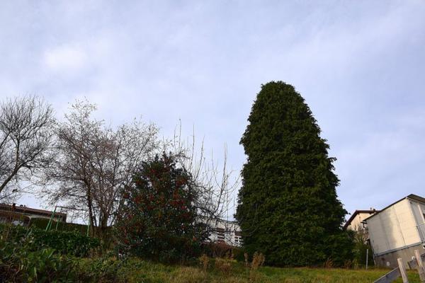 Vente / Terrain constructible