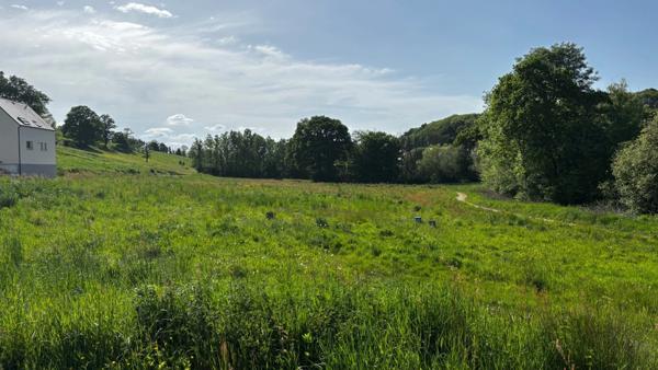 Terrain batissâble à vendre MONTREUIL SOUS PEROUSE (35)