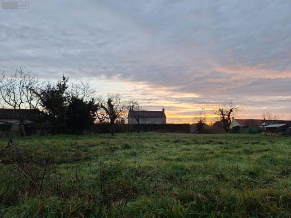 Terrain à Batir à vendre à Saint-Georges-sur-Moulon dans le Cher (18110), ref : 18016/1889