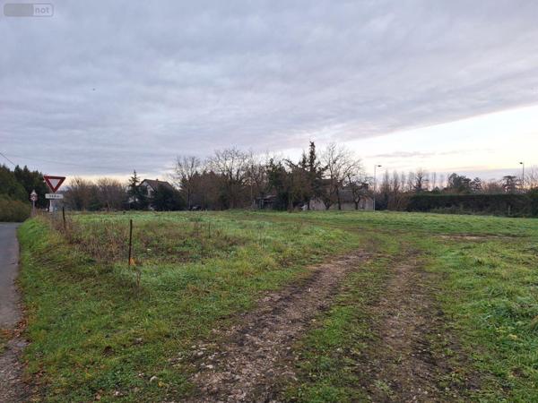 Terrain à Batir à vendre à Saint-Georges-sur-Moulon dans le Cher (18110), ref : 18016/1889