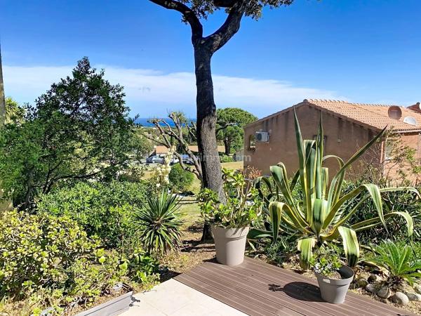Vente                                                      Appartement
                        
                     6 pièces                      99 m2                     à Lumio