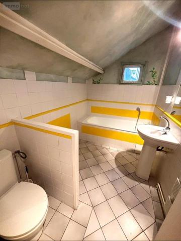 Maison à vendre à Saint-Doulchard dans le Cher (18230), ref : 18004-4210