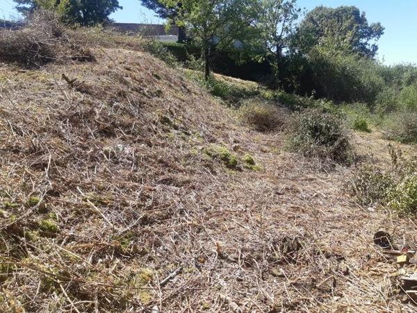 Terrain à vendre 18 000 € Saint-Projet 4387 m² DPE