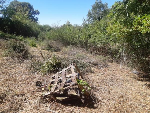 Terrain à vendre 18 000 € Saint-Projet 4387 m² DPE