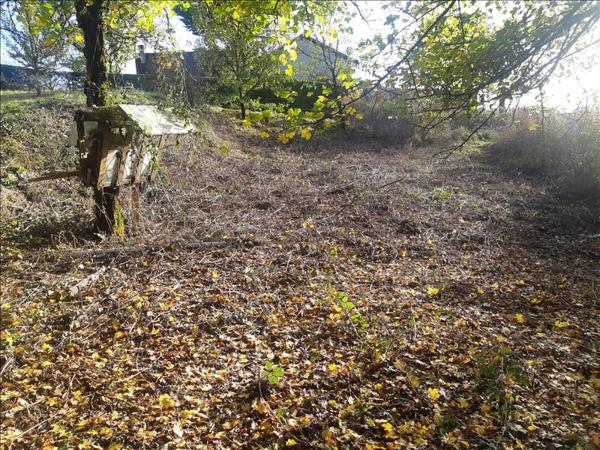 Terrain à vendre 18 000 € Saint-Projet 4387 m² DPE