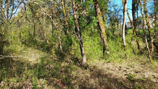 Terrain à vendre de 1 255,00 m² BALADOU (46)