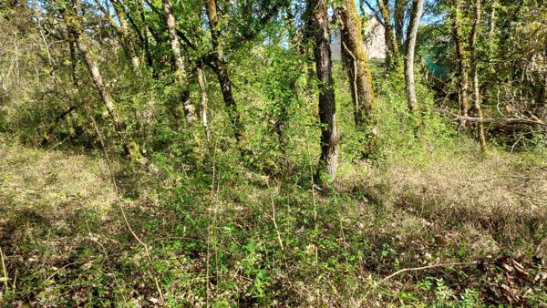 Terrain à vendre de 1 255,00 m² BALADOU (46)