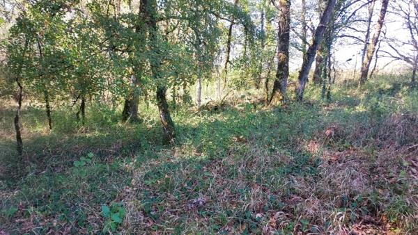 Terrain à vendre de 1 255,00 m² BALADOU (46)