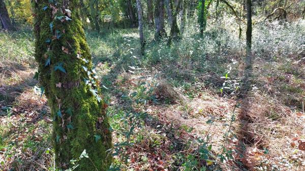 Terrain à vendre de 1 255,00 m² BALADOU (46)