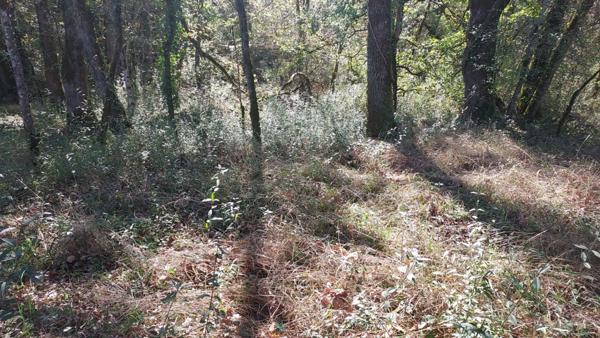 Terrain à vendre de 1 255,00 m² BALADOU (46)