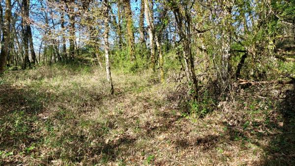 Terrain à vendre de 1 255,00 m² BALADOU (46)