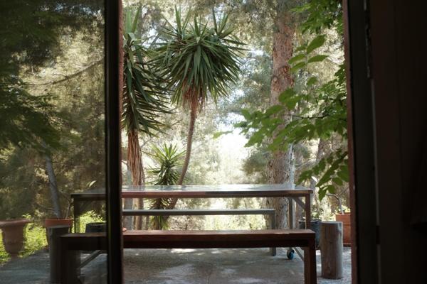 La campagne à deux pas de Bandol - Propriété de charme, piscine et grand terrain