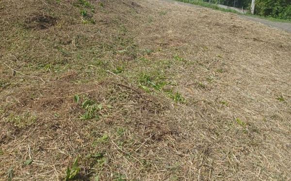 Terrain à vendre    Le François