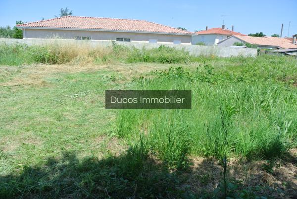 Terrain constructible