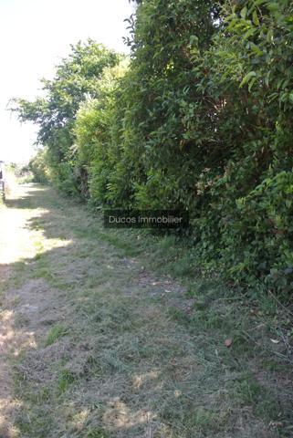 Terrain constructible