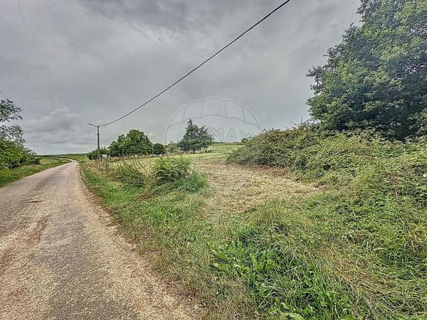 Terrain  en vente - Yonne - 89