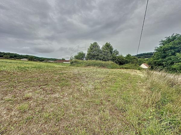 Terrain  en vente - Yonne - 89