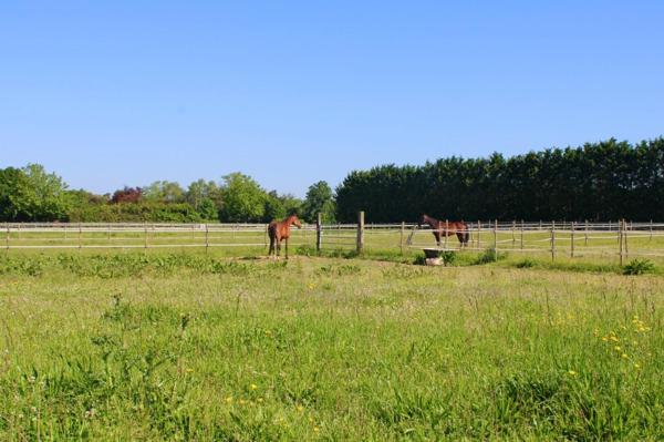 Domaine équestre de 8 hectares avec une belle villa de 150m²