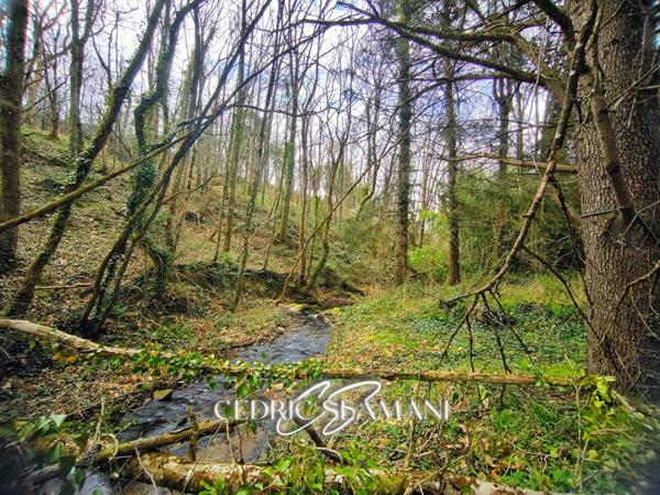 EN EXCLUSIVITE MAISON 135 M2, 3 CHAMBRE, 1 SALON, 2 CUISINE, 1 SALLE DE BAIN, 1 WC, 1 GRENIER, JARDIN 3500 M2