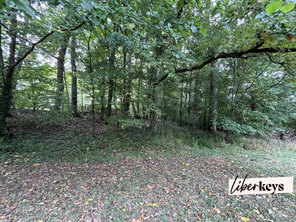 Maison de charme au cœur de la nature – Parc naturel du Perche