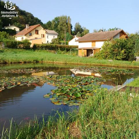 5187 perval
A EPINAL (88000) Bellevue, (proche 65 Bezonfosse)