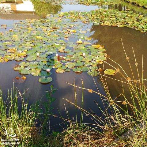 5187 perval
A EPINAL (88000) Bellevue, (proche 65 Bezonfosse)