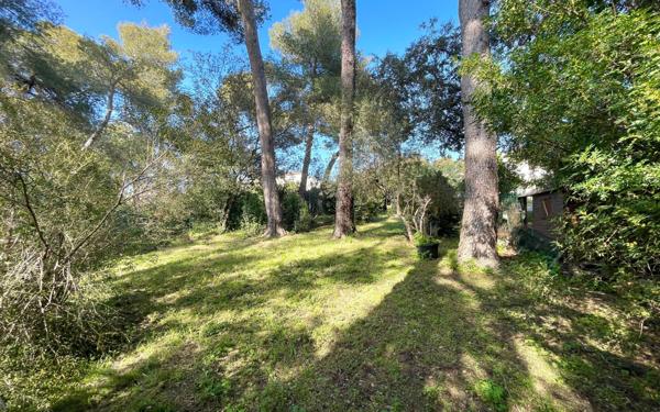 Maison à vendre    9 pièces •  Saint-Georges-d'Orques