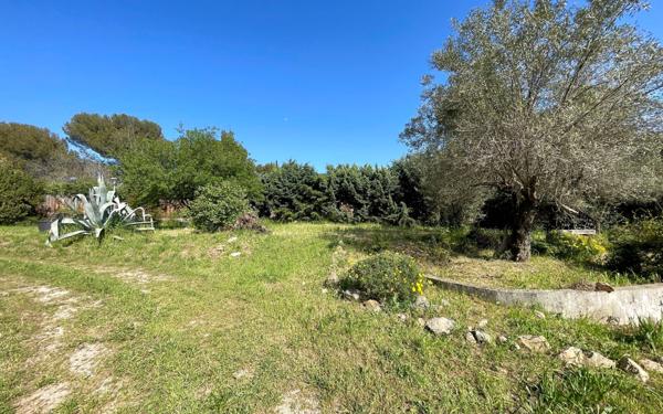 Maison à vendre    9 pièces •  Saint-Georges-d'Orques