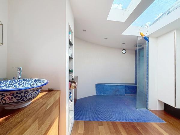 Magnifique péniche habitation 190 m² - LES ROCHES DE CONDRIEU (38)