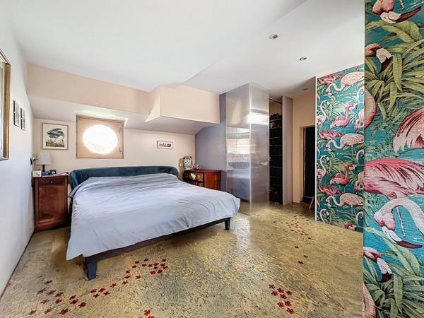 Magnifique péniche habitation 190 m² - LES ROCHES DE CONDRIEU (38)