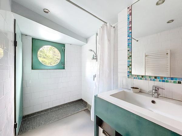 Magnifique péniche habitation 190 m² - LES ROCHES DE CONDRIEU (38)