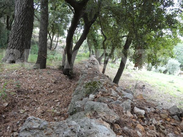 Le Cannet-des-Maures (83540) - Terrain de 1000m² - Au calme absolu - 