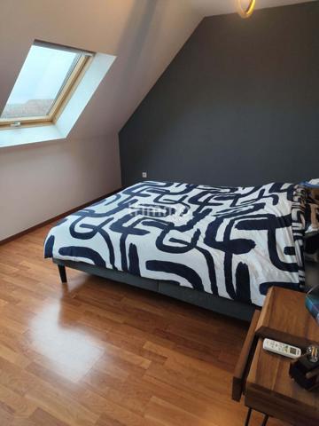 duplex a vendre a Drusenheim