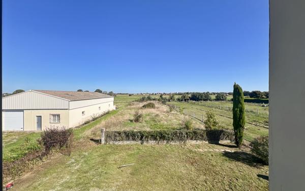 Maison à vendre    8 pièces •  Daux