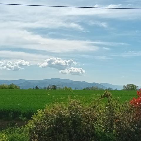 Vente / Terrain constructible